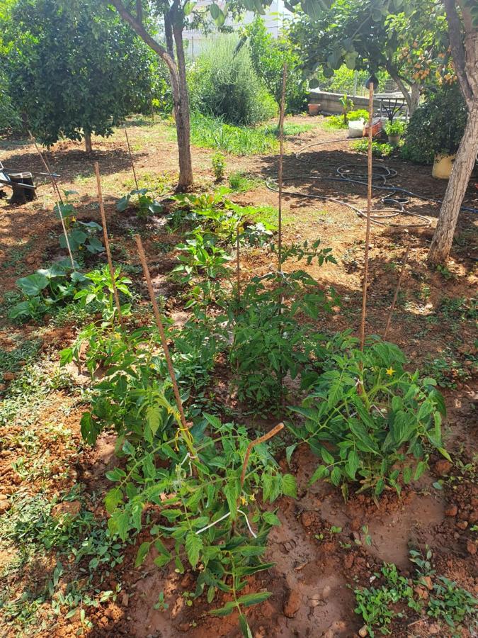 Chania Casa Portokali Perivólia Kültér fotó