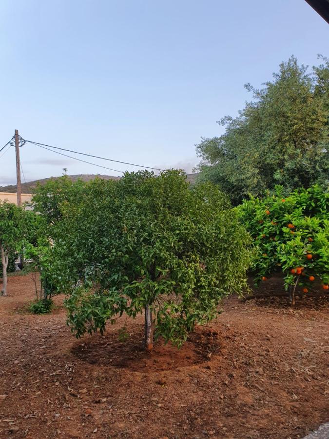 Chania Casa Portokali Perivólia Kültér fotó